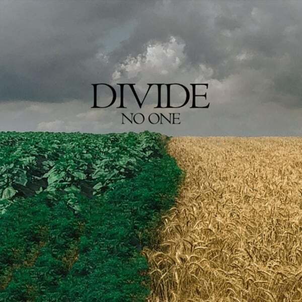 Cover art for Divide